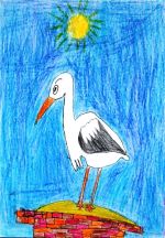 Plišková Lucia.jpg